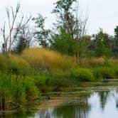 Review photo of Hood Park by Nathan B., July 29, 2021