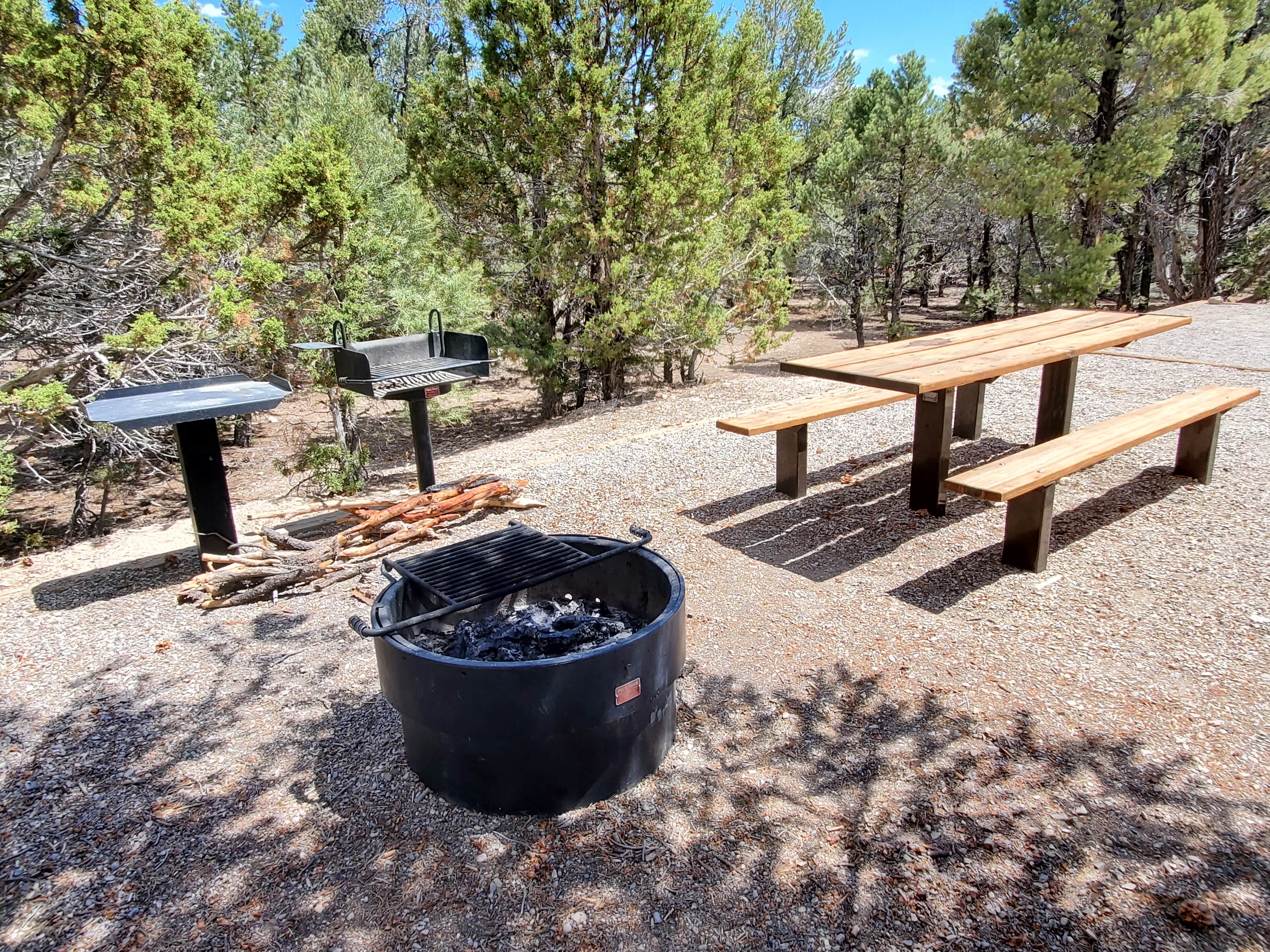 Camper-submitted photo at Ward Mountain Campground near Duckwater, NV