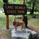 Review photo of Lake Bemidji State Park Campground by Art S., June 17, 2018