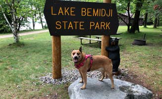 Art S.'s photo of camping with pets at Lake Bemidji State Park Campground near Blackduck, MN