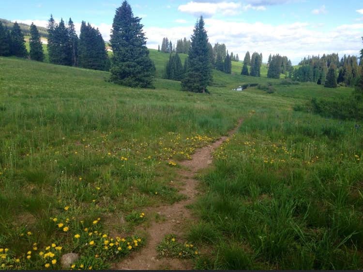 Camper-submitted photo at Line Shack Cabin near Minturn, CO