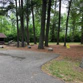 Review photo of Lake Bemidji State Park Campground by Art S., June 17, 2018