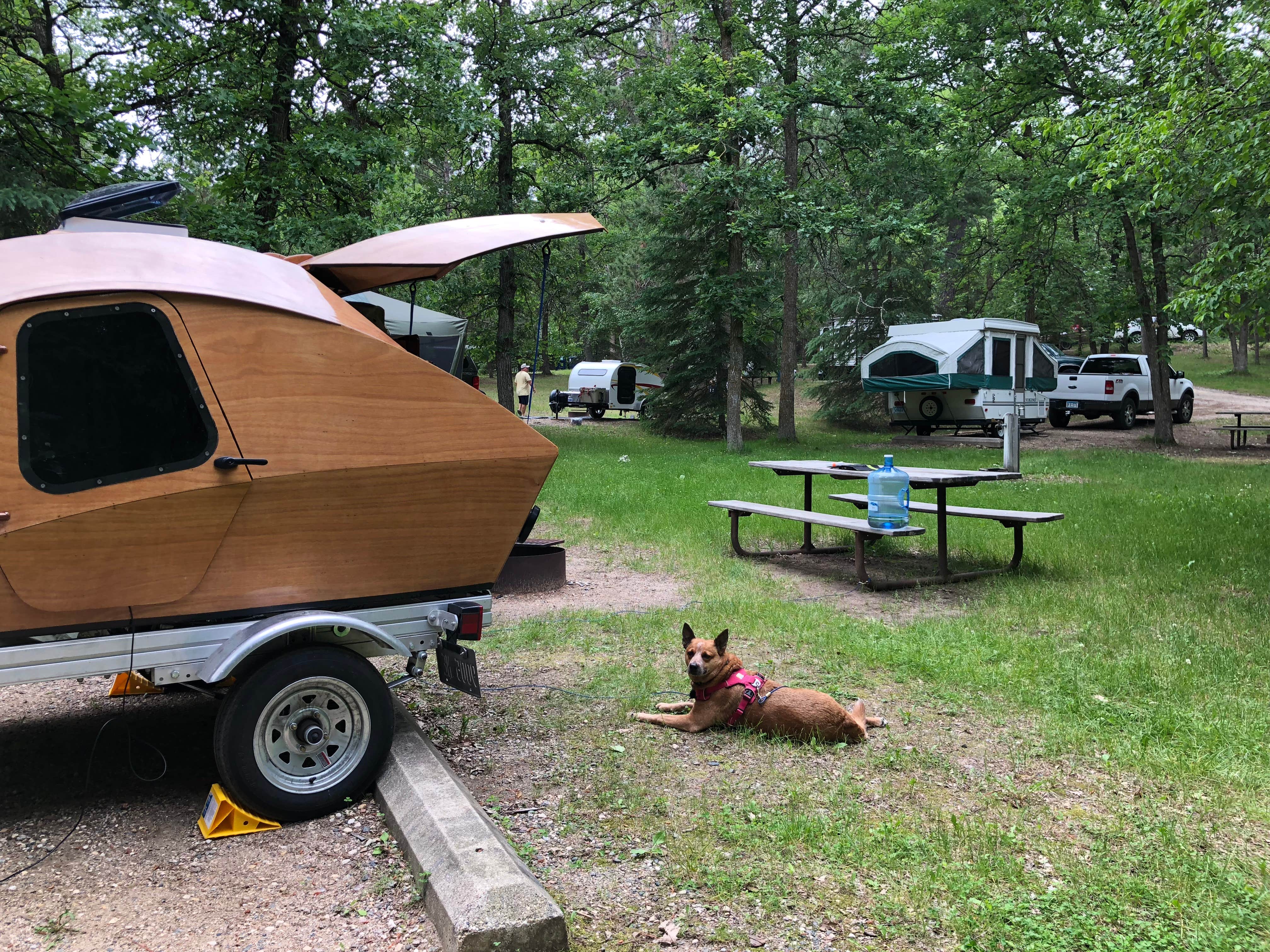 Camper-submitted photo at Lake Bemidji State Park Campground near Chippewa National Forest