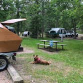 Review photo of Lake Bemidji State Park Campground by Art S., June 17, 2018