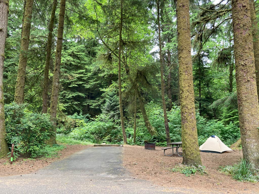 Tanya B.'s photo at Beverly Beach State Park Campground near Logsden, OR