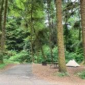 Review photo of Beverly Beach State Park Campground by Tanya B., July 29, 2021