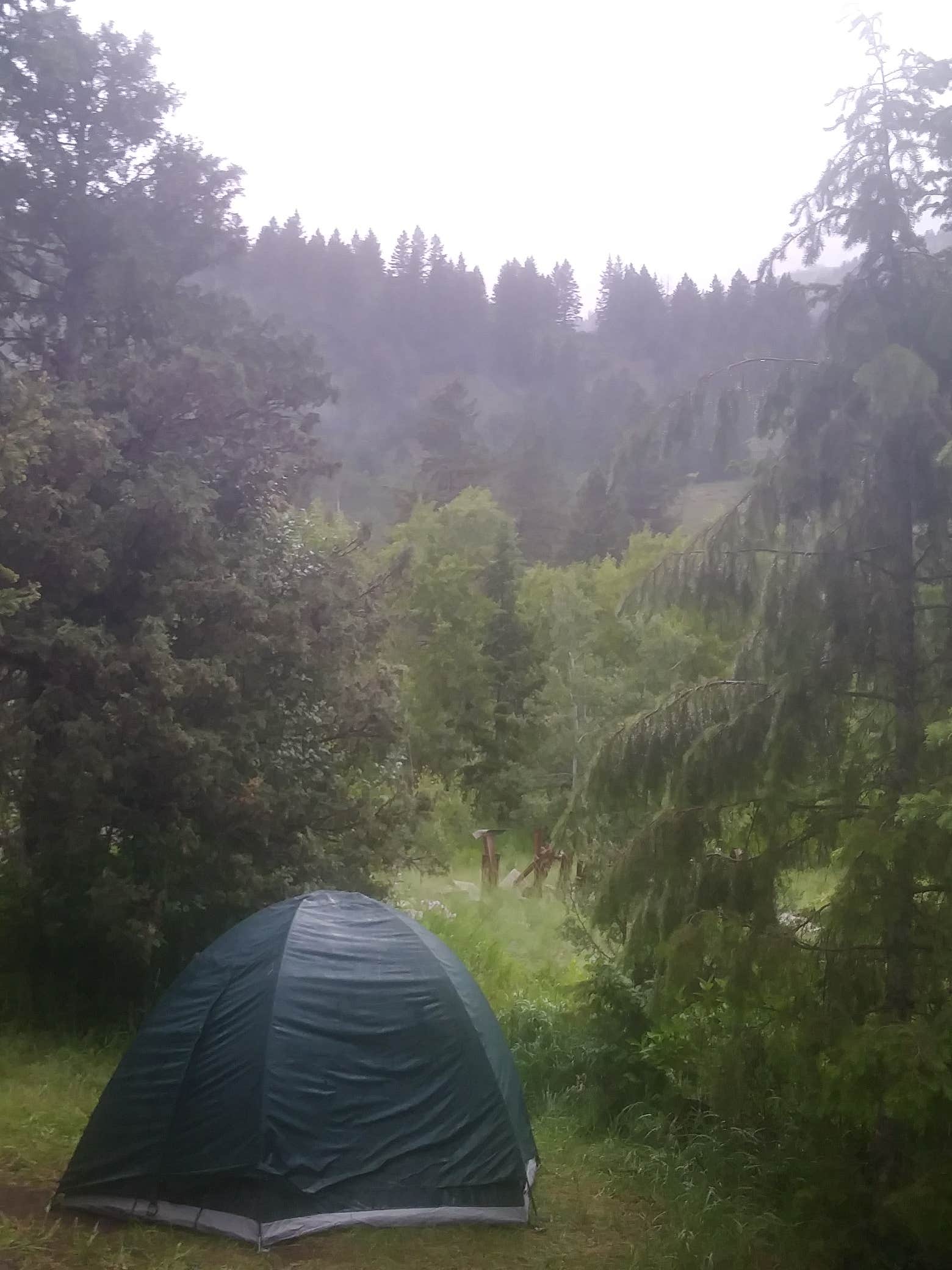 Camper submitted image from Palisades Reservoir - 2