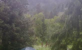 Jammie S.'s photo of a dispersed camping area at Palisades Reservoir near Victor, ID