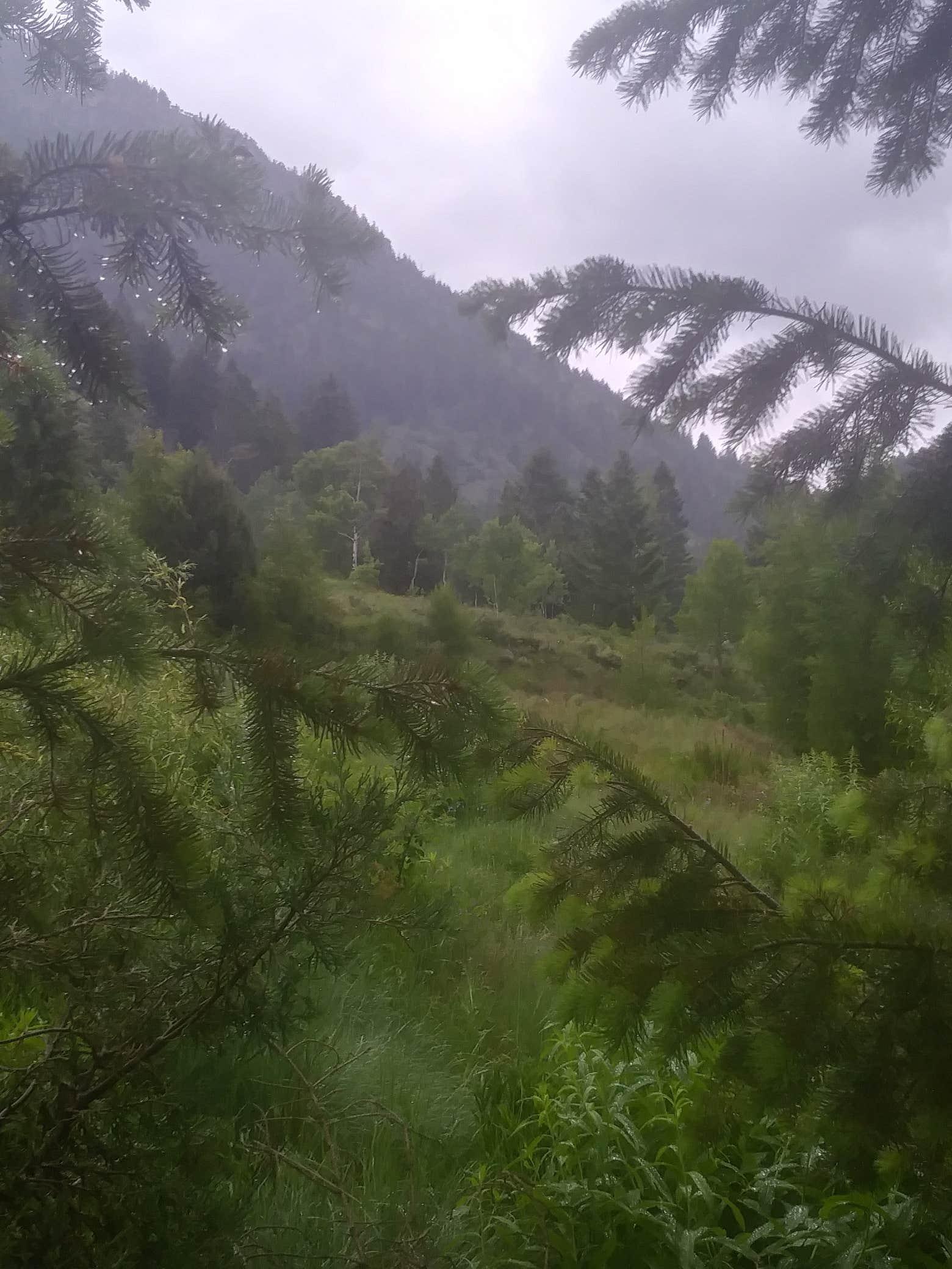 Camper-submitted photo at Palisades Reservoir near Alpine, WY