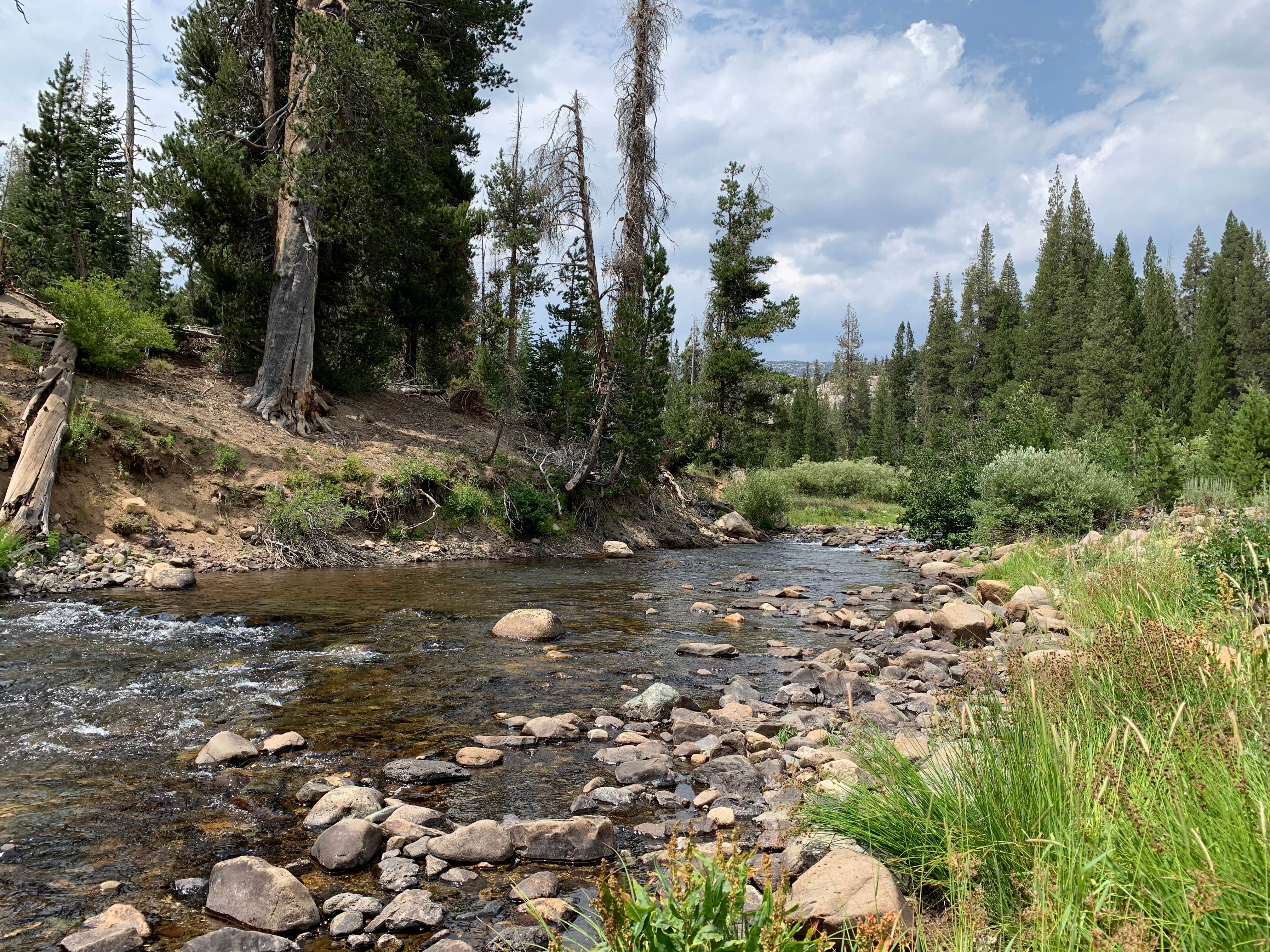 Camper-submitted photo at Pumice Flat Group Camp near Devils Postpile National Monument