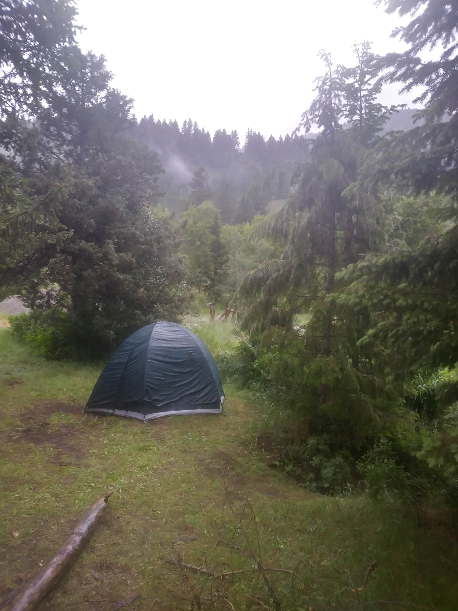 Jammie S.'s photo of a dispersed camping area at Palisades Reservoir near Ririe, ID