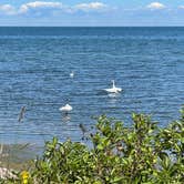 Review photo of Lakeside State Park Campground by Olson H., July 29, 2021