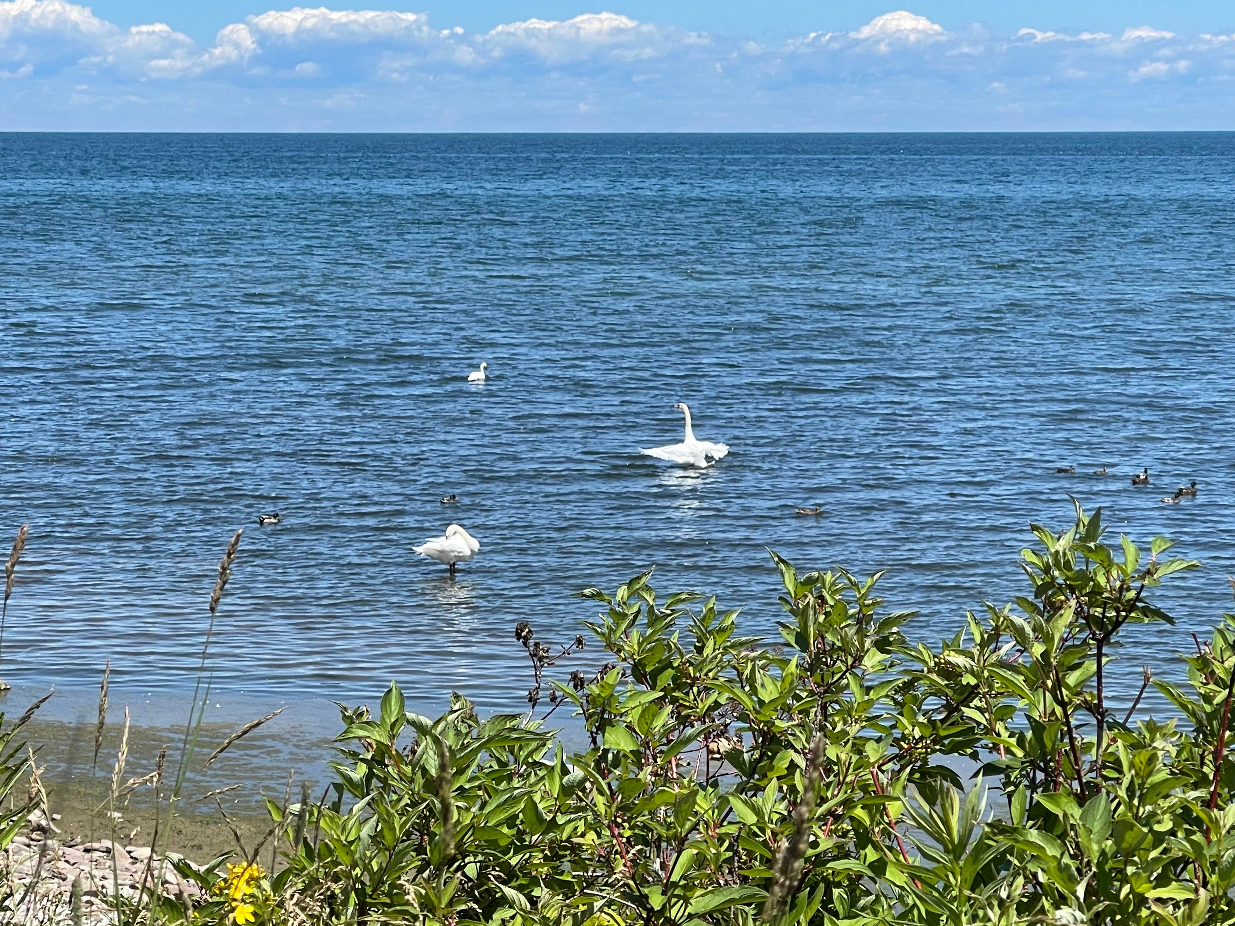 Camper submitted image from Lakeside State Park Campground - 3