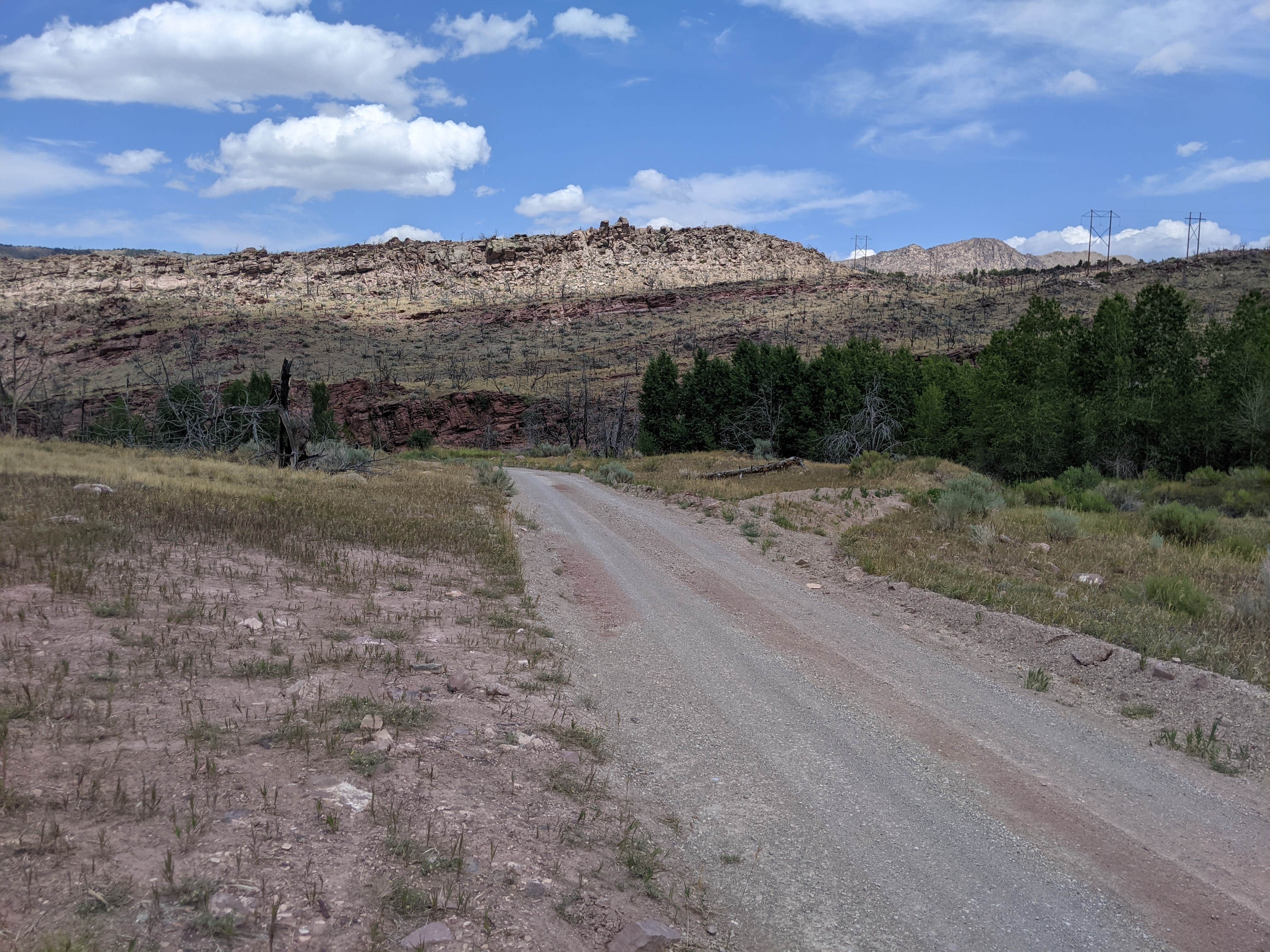 Dutch John Draw Campground - Ashley National Forest Camping | Dutch John, UT | The Dyrt