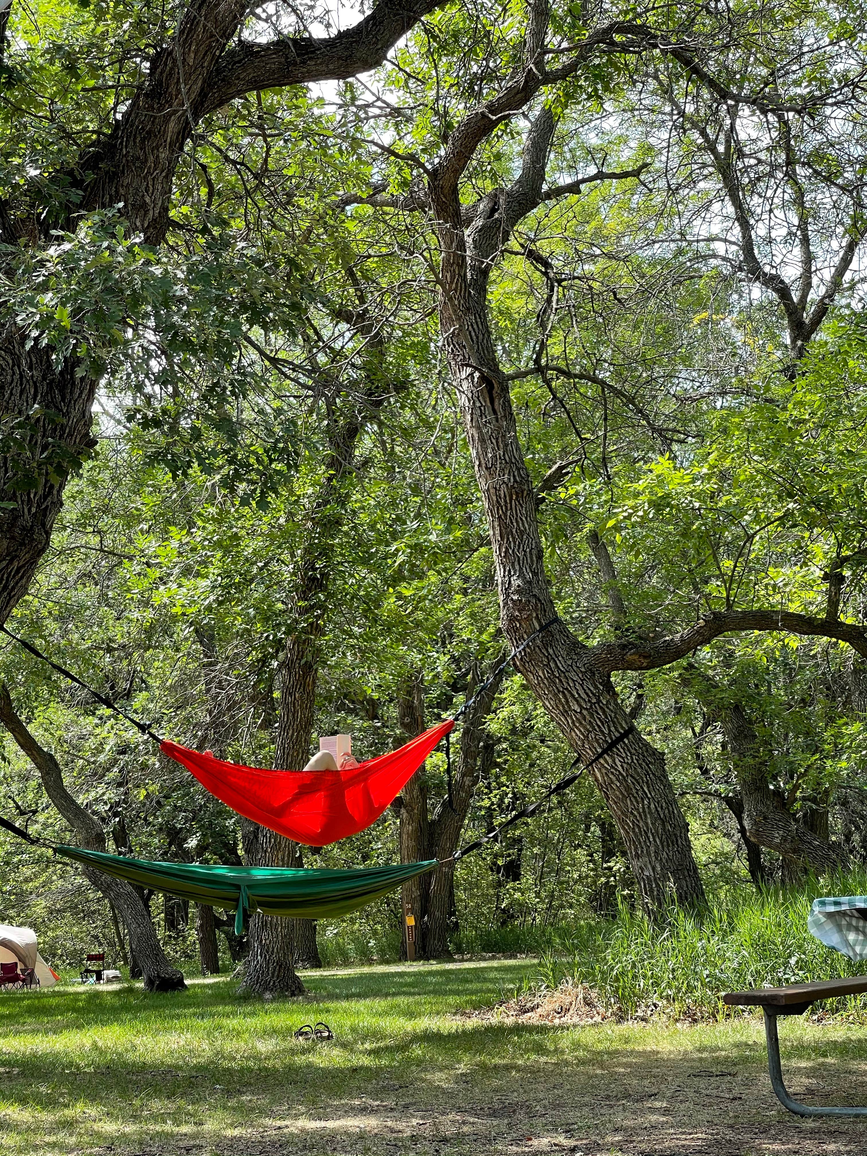 Camper submitted image from Grahams Island State Park Campground - 5