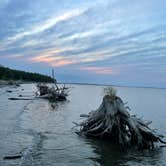 Review photo of Grahams Island State Park Campground by Olson H., July 29, 2021