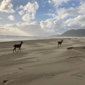 Review photo of Nehalem Bay State Park Campground by Tanya B., July 29, 2021