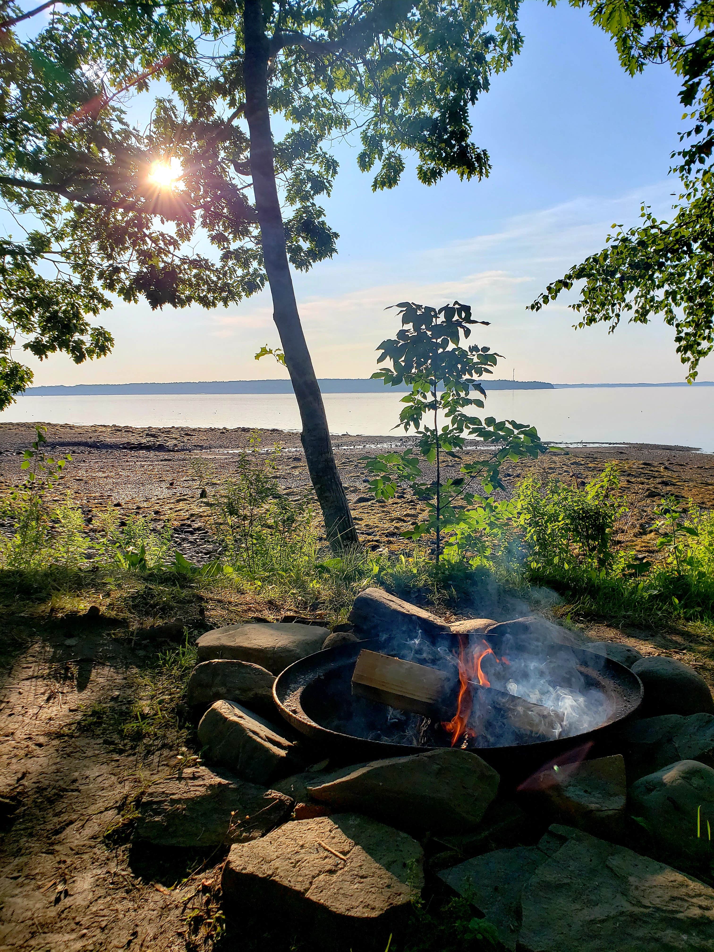 Best camping in Acadia National Park The Dyrt