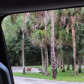 Review photo of Tomoka State Park Campground by Samantha H., July 29, 2021