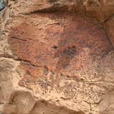 Review photo of Hickison Petroglyph by Alma L., July 29, 2021