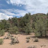 Review photo of Hickison Petroglyph by Alma L., July 29, 2021