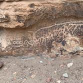 Review photo of Hickison Petroglyph by Alma L., July 29, 2021