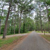 Review photo of Pharoah - Garden of the Gods Rec Area Campground by Angela S., July 29, 2021