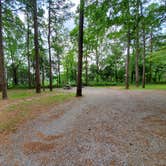 Review photo of Pharoah - Garden of the Gods Rec Area Campground by Angela S., July 29, 2021