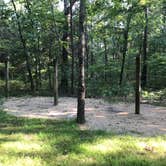 Review photo of St. Joe State Park Campground by Grant M., July 27, 2021