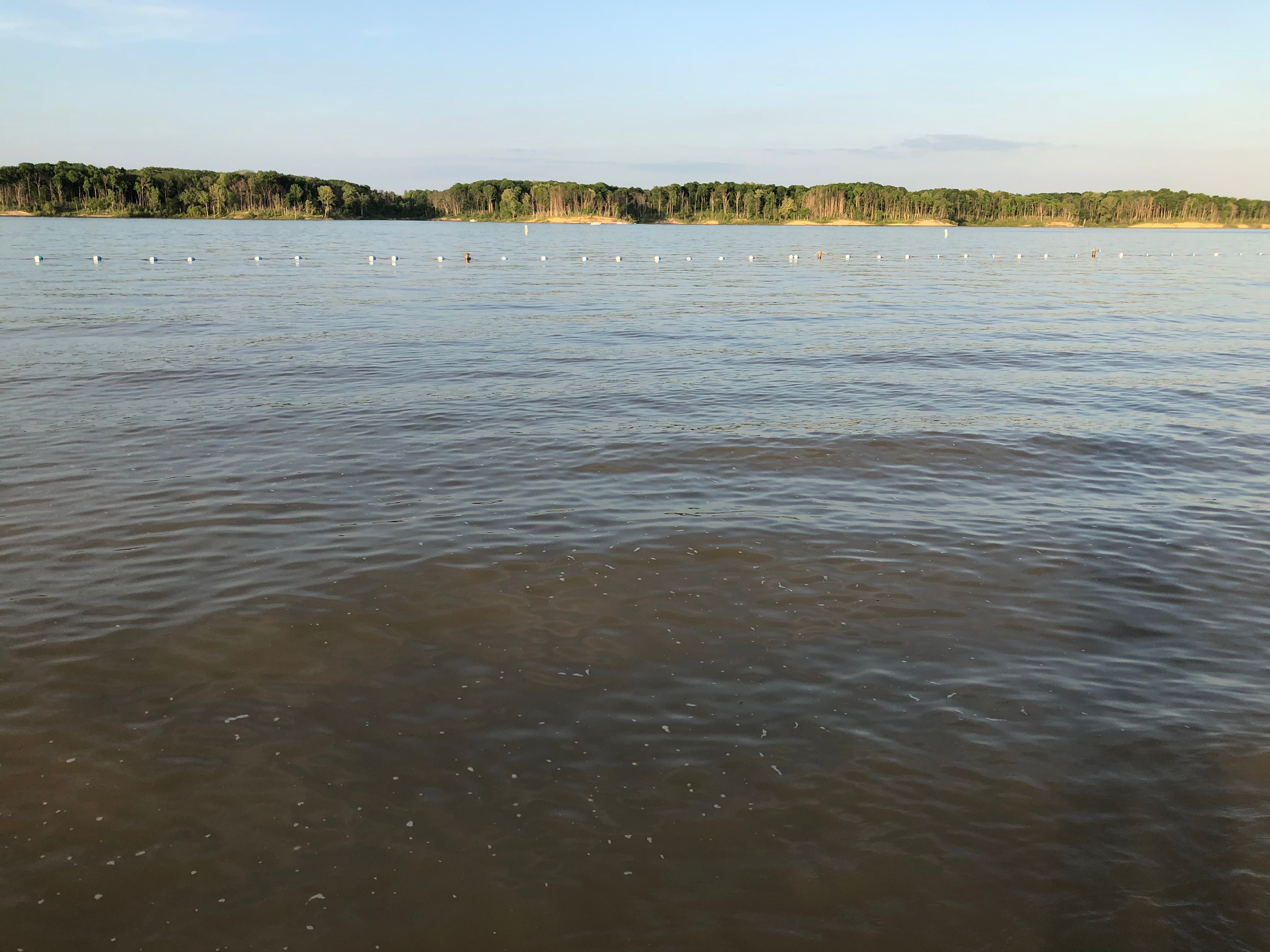 Camper submitted image from Mississinewa Lake - Miami Recreation Area - 3