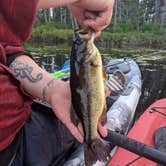 Review photo of Andrus Lake State Forest Campground by Madalynn L., July 29, 2021