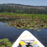 Review photo of Hawleys Landing Campground — Heyburn State Park by Nancy C., July 29, 2021