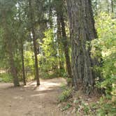 Review photo of Hawleys Landing Campground — Heyburn State Park by Nancy C., July 29, 2021