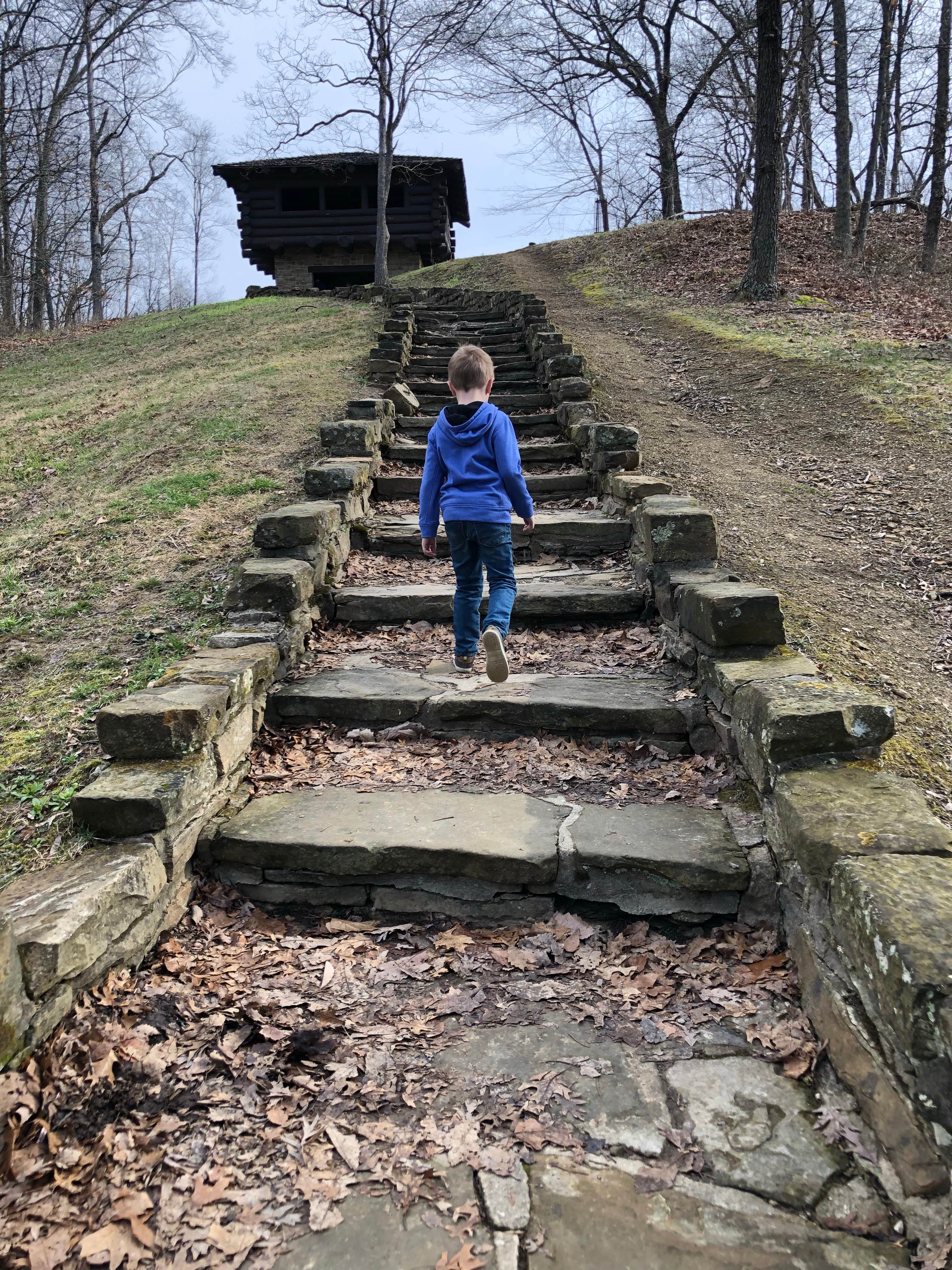 Camper submitted image from Buffalo Ridge Campground — Brown County State Park - 5