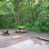 Review photo of Shades State Park Campground by Angela S., July 30, 2021