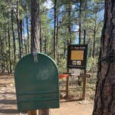 Review photo of Manzano Mountains State Park Campground by Katriza L., July 30, 2021