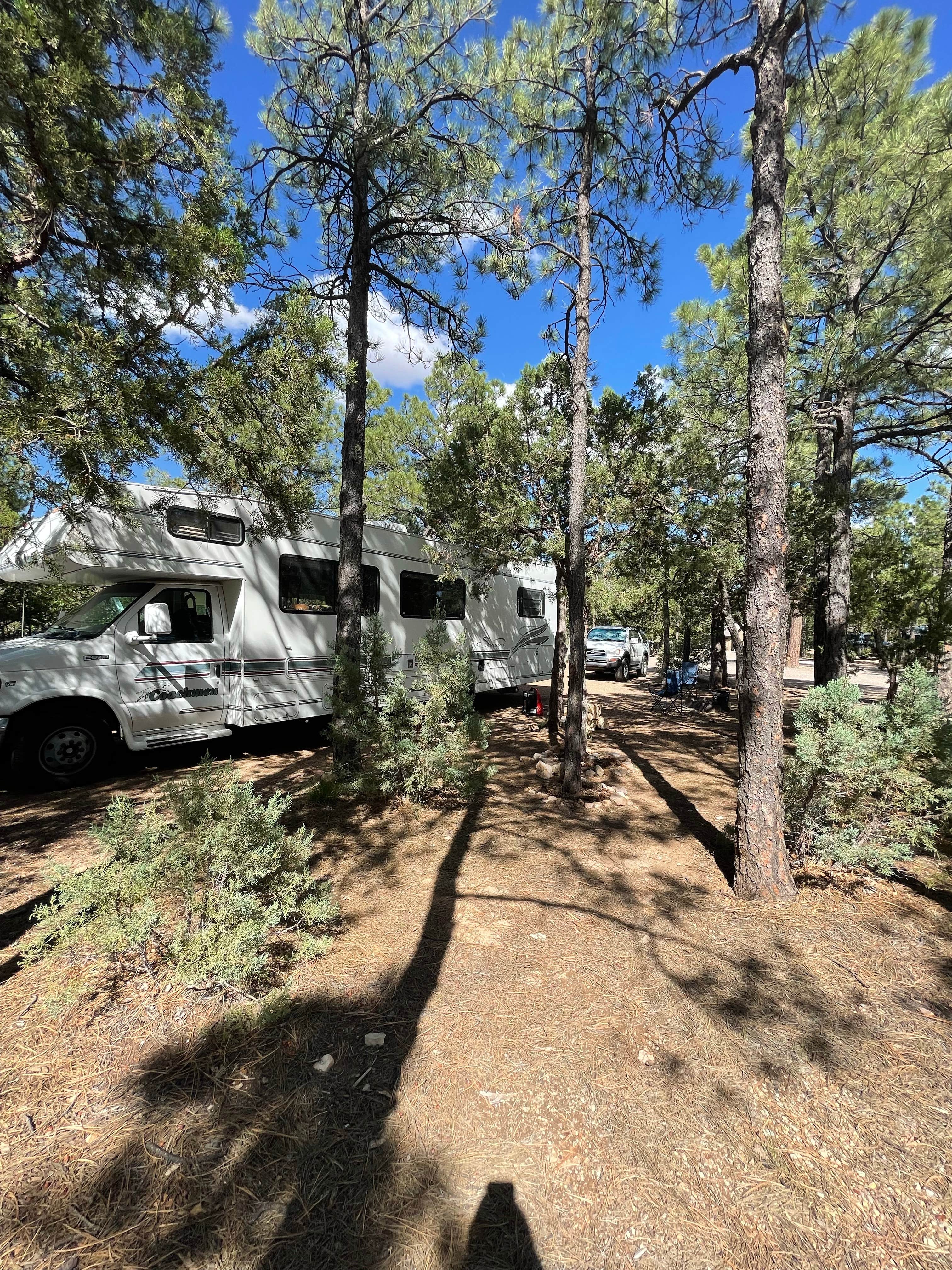 Katriza L.'s photo at Manzano Mountains State Park Campground near Tome, NM