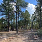 Review photo of Manzano Mountains State Park Campground by Katriza L., July 30, 2021