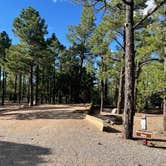 Review photo of Manzano Mountains State Park Campground by Katriza L., July 30, 2021