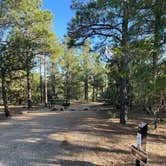 Review photo of Manzano Mountains State Park Campground by Katriza L., July 30, 2021