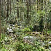 Review photo of Elkmont Campground — Great Smoky Mountains National Park by Caradee F., July 30, 2021