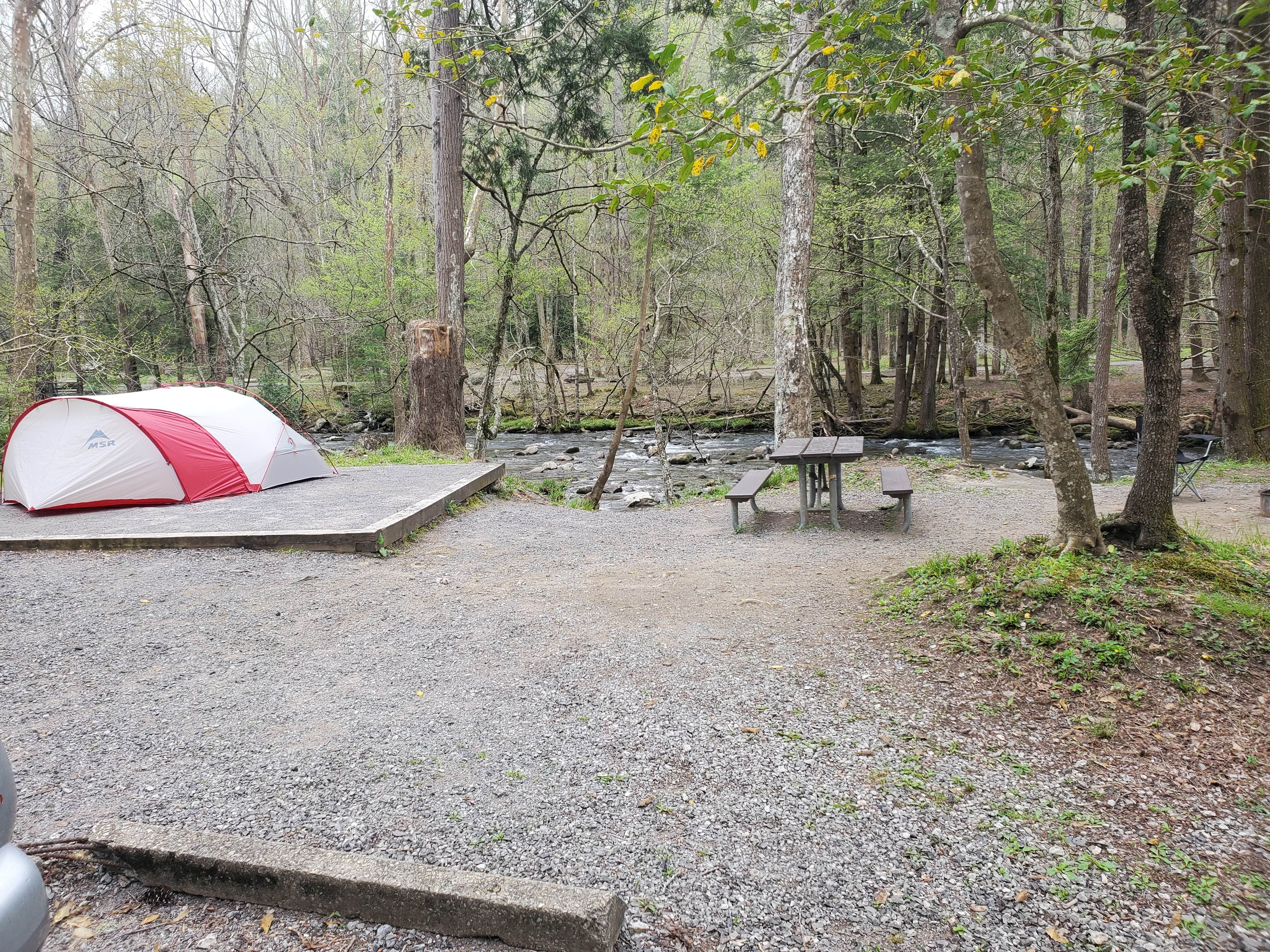 Caradee F.'s photo at Elkmont Campground — Great Smoky Mountains National Park near Great Smoky Mountains National Park