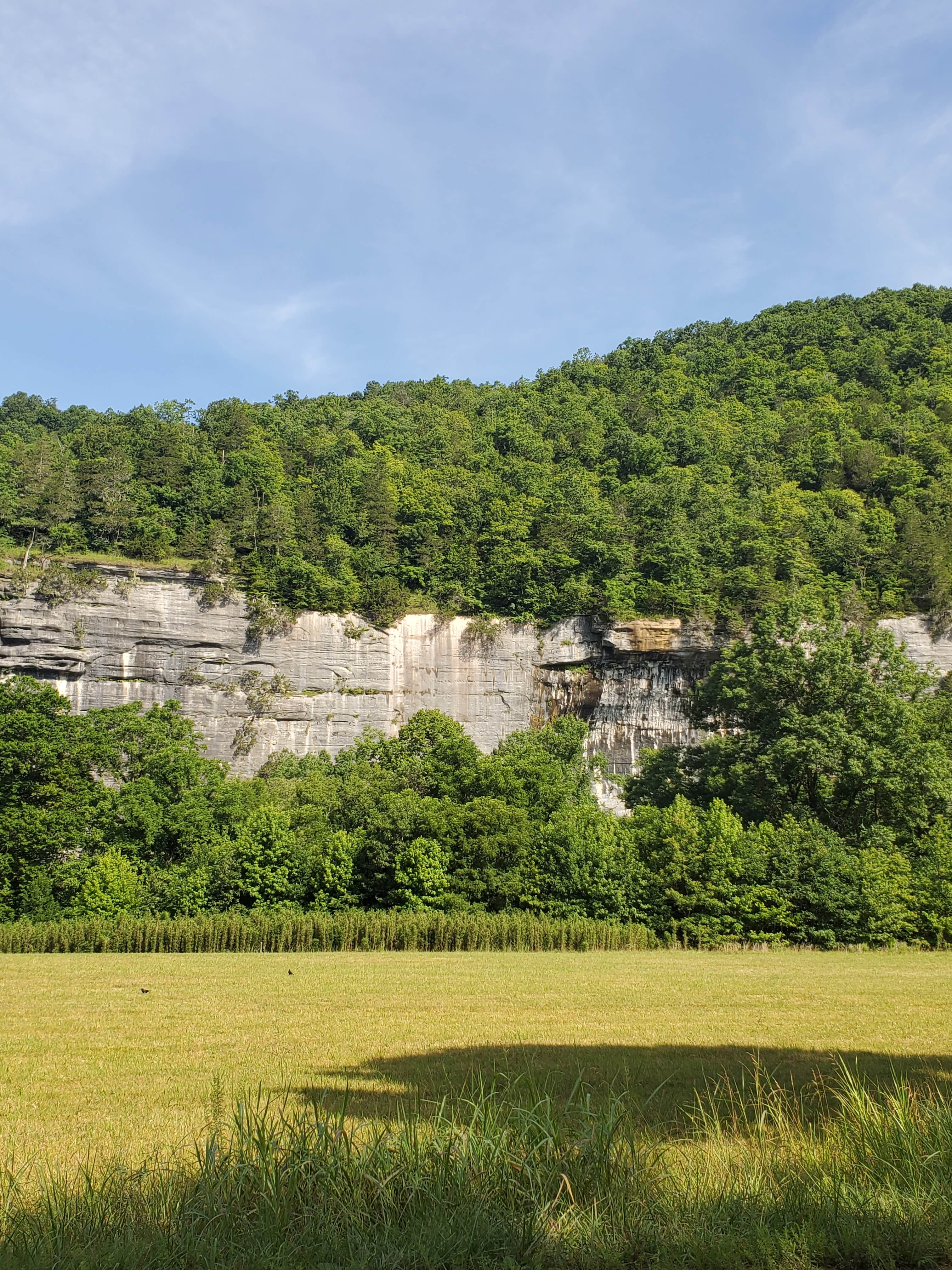 Steel Creek Campground - Buffalo National River | The Dyrt