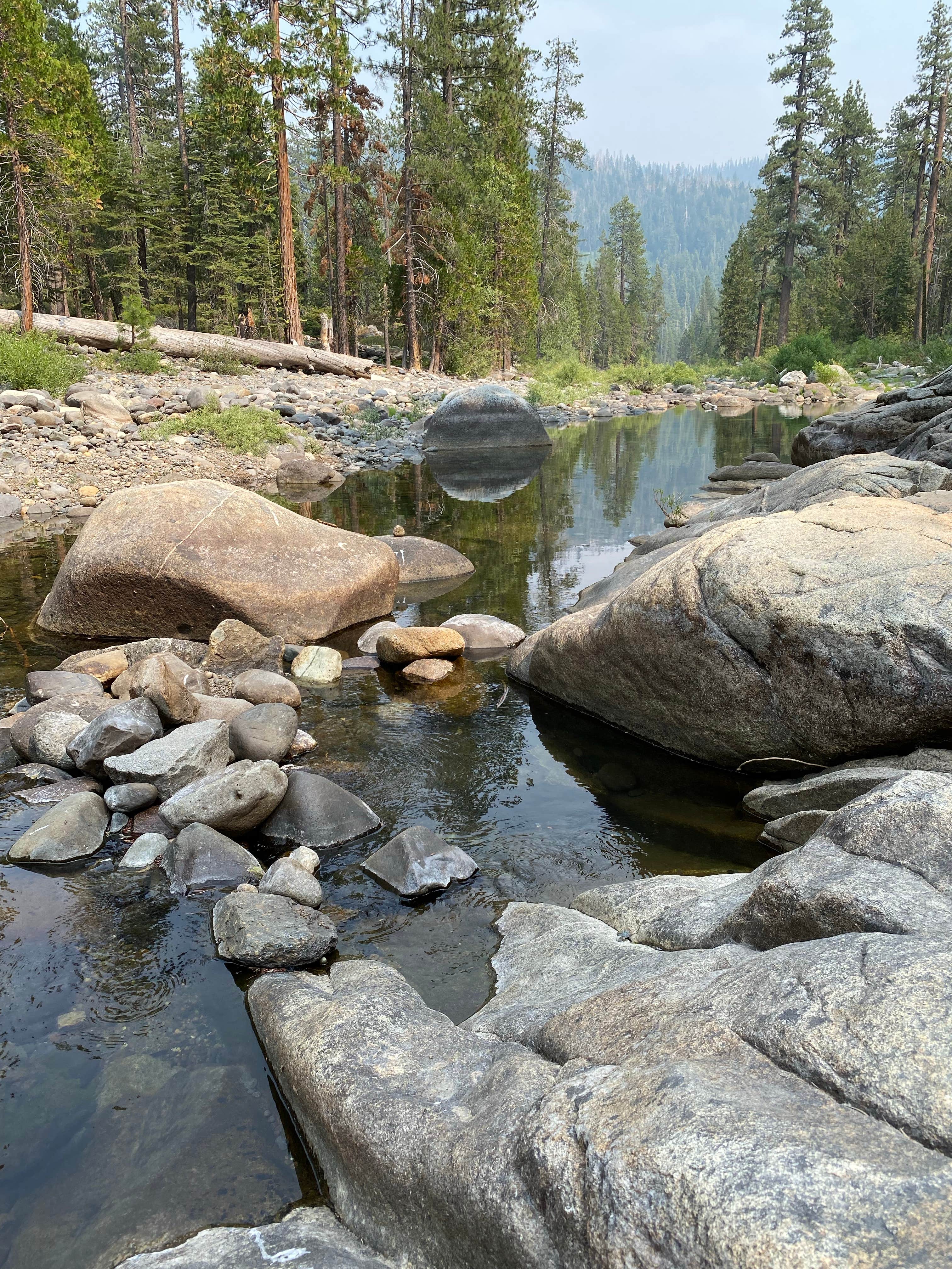 Water