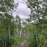 Review photo of Baker Creek Campground — Great Basin National Park by Alma L., July 30, 2021