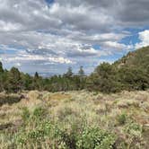 Review photo of Baker Creek Campground — Great Basin National Park by Alma L., July 30, 2021