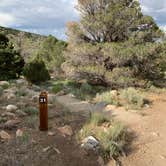 Review photo of Baker Creek Campground — Great Basin National Park by Alma L., July 30, 2021