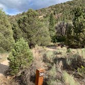 Review photo of Baker Creek Campground — Great Basin National Park by Alma L., July 30, 2021