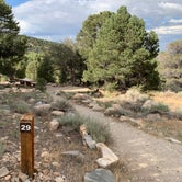 Review photo of Baker Creek Campground — Great Basin National Park by Alma L., July 30, 2021
