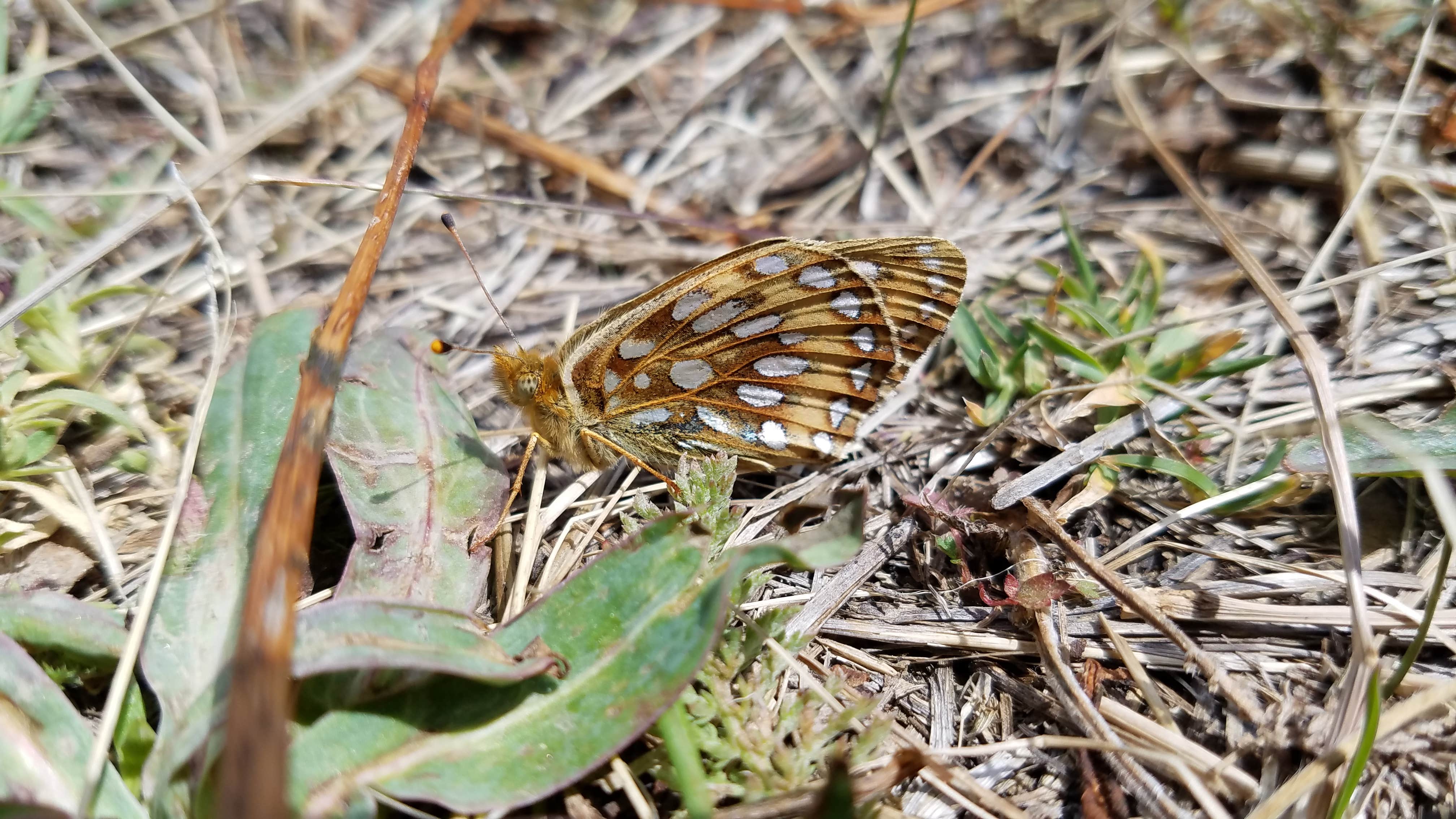 Camper-submitted photo at Yellowstone River RV Park & Campground near Billings, MT